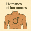 Pierres et hormones masculines