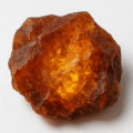 L'ambre